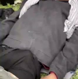 Mendigo Argentino Vergon