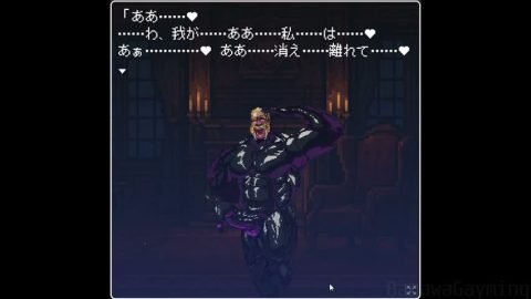 Golden Paladin Side Visual Novel