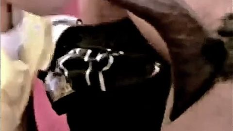 Latino Sucking Big Long Veiny Black Dick