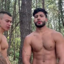 Video 533