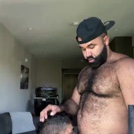 Persian Alpha Wolf with Adam Ramzi